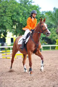 thai-polo-equestrian-1