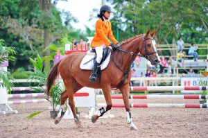 thai-polo-equestrian-4